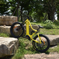 Vélo électrique tout suspendu Bafang 1000W avec cadre en alliage d'aluminium, vélo de montagne électrique