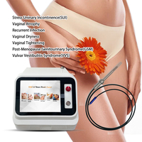 Gynécologie 980 1470nm L Ser Traitement de l'atrophie vaginale, des fibromes utérins et ovariens, Hémorroïdes, EVLT, PLDD, ENT, en clinique chirurgicale