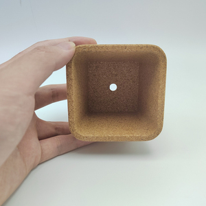 Bán Buôn Trang Trí Nhà Máy Chậu Mini Dễ Thương Quảng Trường Nút Chai Chậu Hoa Cho Các Nhà Máy - Product Image 3