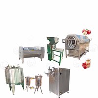 Ligne de production de machines de fabrication de boissons industrielles, ligne de production de machines de fabrication de jus de pomme frais, machines alimentaires et de boissons