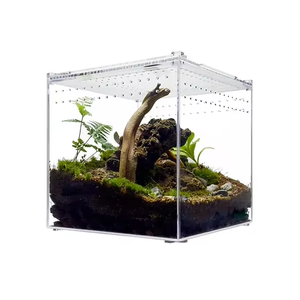 Nhảy nhện Acrylic bao vây bò sát hộp từ acrylic bò sát chăn nuôi hộp bao vây cho côn trùng thằn lằn nhện - Product Image 1