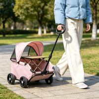 Poussette de luxe pour petits animaux, chien, chat, Teddy, poussette pour bébé, chariot pour petits animaux d'extérieur, poussette légère et pliable pour animaux de compagnie