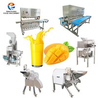Fruit Mango Calamansi Squeezer Ananassap Extractor Machine Industriële Verse Sinaasappel Juicer Persmachine