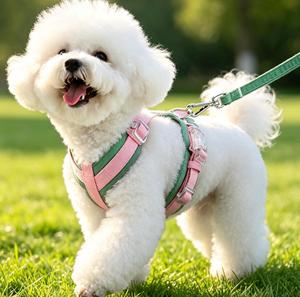 Cute Pink Green Nylon <b>Harness</b> Adjustable No Choke Vest for Small Dogs with Buckle Closure and Leash Set - Product Image 1