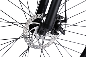 Quad eléctrico de 48V y 350W para adultos, dos ruedas <span class=keywords><strong>a</strong></span> la venta con CE FCC Rohs, almacén de la UE y EE. UU. - Product Image 5