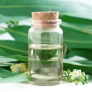 Wanlu Natürliches Zitroneneukalyptusöl Ätherisches Öl Großhandel Bio Rein Hautrevitalisierer mit Lorbeer - Product Image 2
