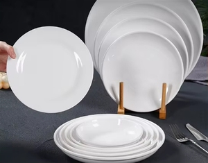 Grandes quantités d'assiettes et de tasses en mélamine - Plastique, 6/7/8/9/10/11/12 pouces - Product Image 6