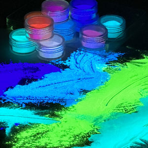 Pigmenti in polvere fotoluminescenti produttori di pigmento fluorescente pigmento incandescente per poliuretano - Product Image 5