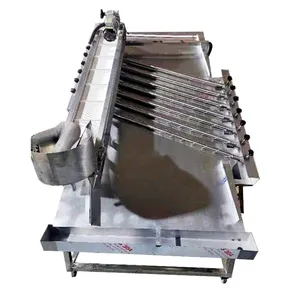 Hot Sale Electric Fish Grader Sorter Machine Shrimp Grading Sorting Washing Cleaning Machine