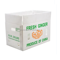 Boîte de transport en plastique Coroplast légère pour fruits, réutilisable, haute résistance, pour emballage de légumes