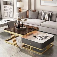 Table basse nordique moderne et simple avec plateau en verre et plateau coulissant en pierre, style luxe léger en métal pour salon et mobilier de maison