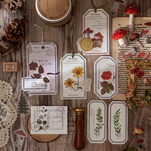 Nature paysage autocollants ensemble pour <span class=keywords><strong>Scrapbooking</strong></span> Junk Journal Transparent bagages Scrapbook fournitures journalisation fleur autocollant - Product Image 4