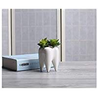 Maceta Creativa de Cerámica Blanca con Forma de Diente, Maceta para Suculentas, Contenedor para Flores, Portalápices de Escritorio, Kit de Decoración para el Hogar - Product Image 3