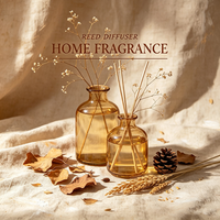 Diffuseur de parfum à bâtonnets longue durée, huile essentielle parfumée, parfum personnalisé, aromathérapie, décoration d'intérieur, diffuseur de parfum en verre