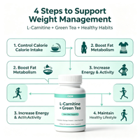 Capsules de thé vert probiotique Moringa, extrait de L-Carnitine, complément alimentaire minceur, commande en gros OEM