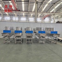 Industriële Volautomatische Fruit-En Groentedrogermachine Verwerkingsmachine Fruitdroogmachines