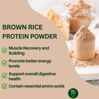 Poudre de protéines de riz brun TXJ pour adultes, sans gluten, riche en protéines, produit de santé, prix de gros, en vrac, directement de l'usine