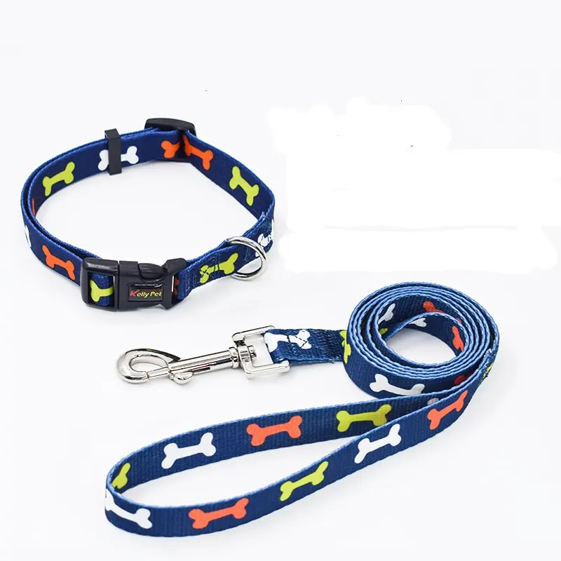Vente en gros de laisse pour collier à boucle en PVC souple et étanche avec étiquette nominative, ensemble de laisse pour collier de chien réglable à la mode de luxe
