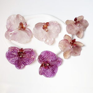 2026 <strong>Fashion</strong> Women Necklace Earring Diy <strong>Charms</strong> New Arrival Eternal Floral Preserved Flower Jewelry Real Orchid <strong>Pendant</strong> Resin - Product Image 4