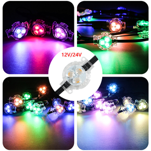 SHIJI luces navideñas permanentes para vacaciones pista 30mm RGB RGBW UCS2904 12V Digital LED Pixel Dot Light Cadena de luz al aire libre - Product Image 6