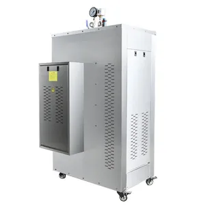 China Factory Original Laundry Portable 9kg 15kg 20kg 36kg Steam Electric Small Boiler