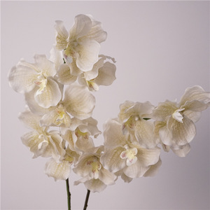Fleurs artificielles W-A0097 Orchidées <span class=keywords><strong>Vanda</strong></span> Papillon tactile réel de haute qualité et de haute similitude pour la décoration de mariage - Product Image 1