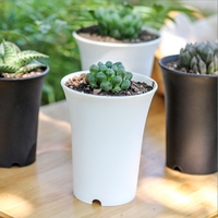 Pot de fleur de plante succulente en plastique rond épais d'approvisionnement d'usine à vendre ou à la décoration intérieure