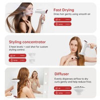 Nouveau modèle de sèche-cheveux professionnel multifonctionnel à faible bruit, portable, pour la maison, les voyages, mini-sèche-cheveux pour hôtel