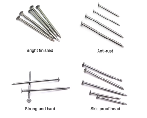 黄金优质厂家铁钉普通钉钉厂 - Product Image 4