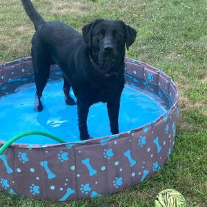 Prezzo di fabbrica rotondo Pet cane pulizia <span class=keywords><strong>piscina</strong></span> pieghevole cane gatto <span class=keywords><strong>piscina</strong></span> giardino piscine per <span class=keywords><strong>cani</strong></span> - Product Image 4