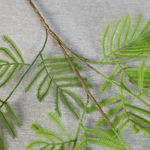 Vente en gros de plantes artificielles <span class=keywords><strong>mimosa</strong></span> en matériaux doux Feuilles de <span class=keywords><strong>mimosa</strong></span> au toucher réel Feuilles de <span class=keywords><strong>mimosa</strong></span> au toucher quantité minimale de commande bas Plantes artificielles - Product Image 3