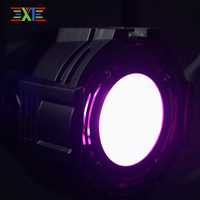 XJ Offre Spéciale Mini 50W COB Par Light Deux couleurs ou Pleine couleur Led Intérieur Par Light pour Disco De Mariage