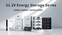Batterie LiFePO4 YUNFENG 51.2V 400Ah empilable 20kWh 30kWh pour stockage d'énergie domestique CAN RS485 Expédition DDP