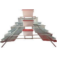 Cages à poulets de pondeuse de type A 160 poulets par unité de cages de pondeuse Poulet à œufs Ferme avicole