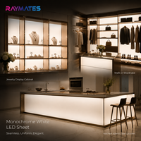Feuille LED Flexible 24V Découpable Ultra-Mince pour Publicité, Panneau LED Flexible à Lentille pour Rétroéclairage de Comptoir et Onyx Artificiel