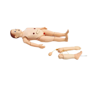 Modelo de Anatomía Pediátrica Desmontable, Maniquí Pediátrico para Enseñanza Médica - Product Image 1