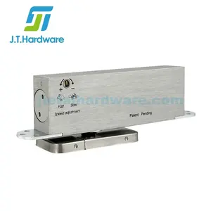 Frits Jur Gens System M+ Concealed Wooden Door Hydraulic Self Closing Adjustable Center Bottom Pivot
