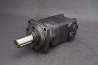 OMR Hydraulischer Orbitalmotor OMR50, OMR80, OMR100, OMR125 Zuverlässiger Hydraulikmotor mit Niedriger Drehzahl und Hohem Drehmoment