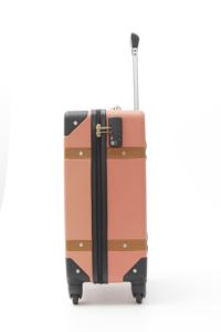 Valigia in Stile Retrò in ABS con Manico in Alluminio-Ferro, Serratura TSA Esterna e Ruote Singole - Product Image 3