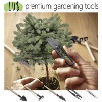 Set bonsai DIY untuk pemula, kit biji pohon Bonsai dengan pot plastik dan alat mini hadiah sempurna untuk pecinta berkebun