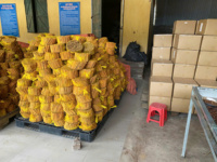 Premium Kaneelstokjes Ceylon Cassia Quills Gedroogde Kruidenbastbuizen Aromatische Kookkruiden Ambachtelijk Decor Gebruik
