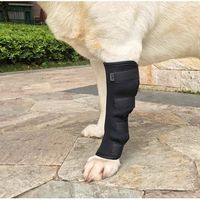 Attelles de genou pour animaux de compagnie, manchons de protection pour chiens, récupération post-chirurgicale, réglables, anti-léchage, protection des plaies, soutien articulaire solide, Noël