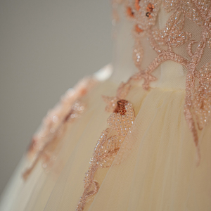 Robe de bal en tulle champagne clair Sfy242 avec bretelles, robe de bal pour Sweet 16, robe de soirée formelle Jancember - Product Image 3