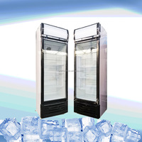 Réfrigérateur vertical Slim Soft Drinks 300L, vitrine réfrigérée pour bières, présentoir réfrigéré