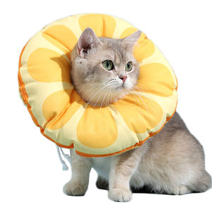 Hoopet-suministros de frutas para mascotas, <span class=keywords><strong>Collar</strong></span> protector de cono para perros y gatos - Product Image 1