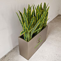 Tanaman ular buatan plastik tanaman Bonsai buatan tanaman ular santivieria Agave tanaman hias buatan untuk dekorasi dalam ruangan
