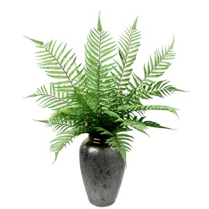 High Quality <strong>Cheap</strong> Plastic <strong>Plant</strong> 8 Head Persian <strong>Fake</strong> Grass Artificial Fern <strong>for</strong> Decoration - Product Image 1