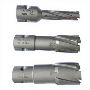 Taglierina universale del foro del TCT della taglierina <span class=keywords><strong>anulare</strong></span> dello stinco con il perno pilota - Product Image 1