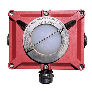 point-type infrared flame detector for detection of smokeless liquid gas fires as well as open flame fires that produce smoke