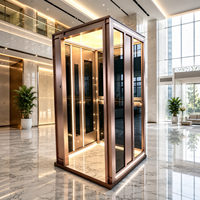 Nouvelle cabine d'ascenseur résidentielle personnalisée en métal avec panneau de plafond, éclairage d'ambiance et miroir pour villa et maison
